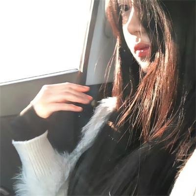 金毛喜迎冬